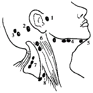 在颈部淋巴结检查中右图中第6组淋巴结被称为